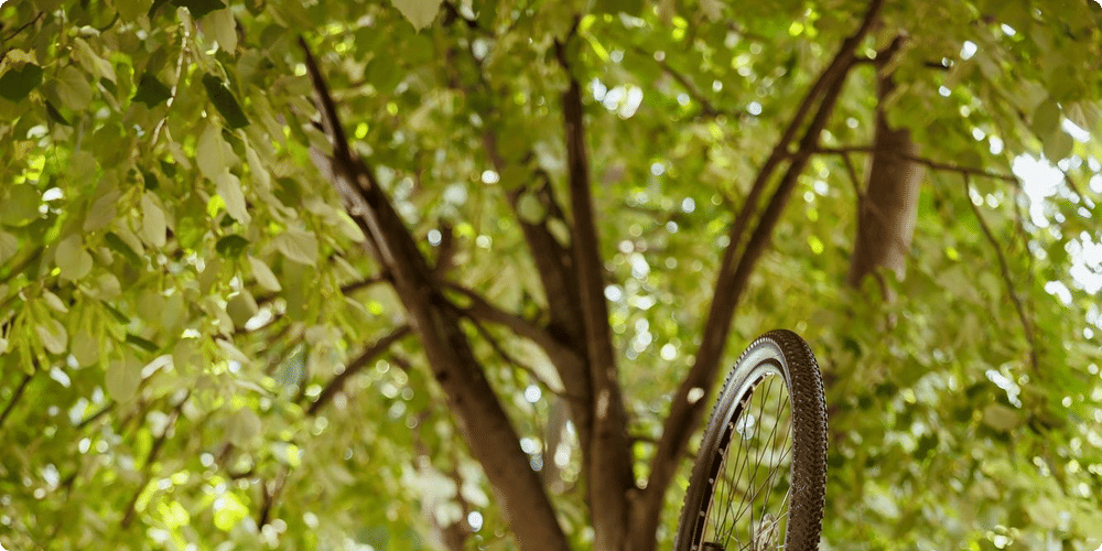 Quels sont les outils indispensables pour l'entretien d'un vélo elliptique ?